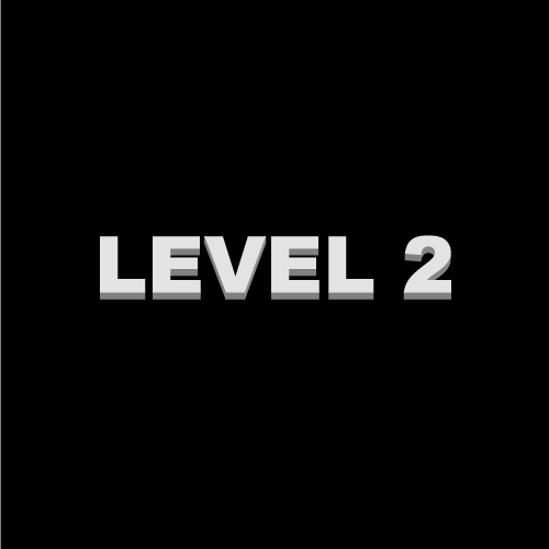 Level 2 - image