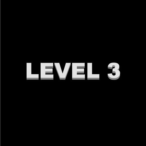 Level 3 - image