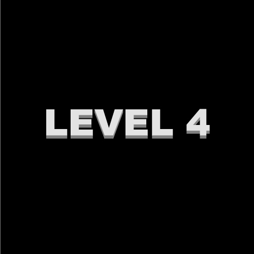 Level 4 - image