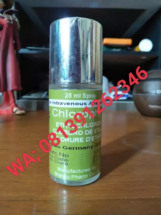 Chlorophyll Asli