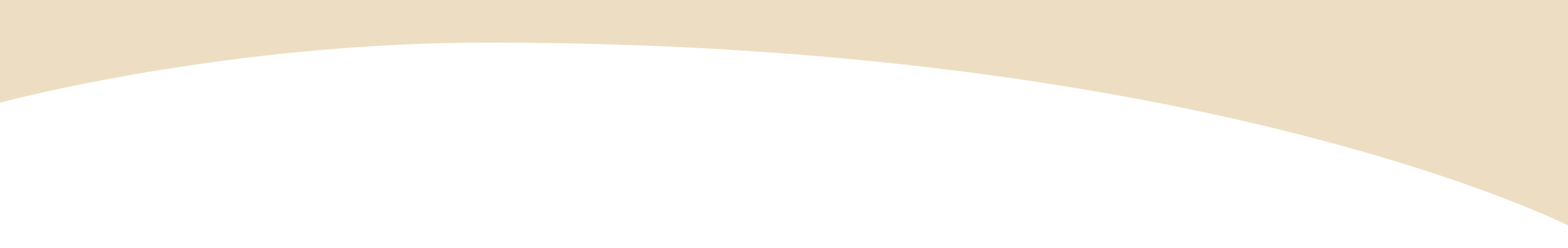Group%2046.jpg