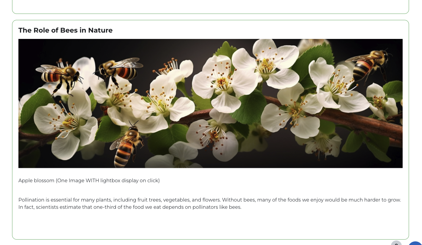 Content Designer - Image Element